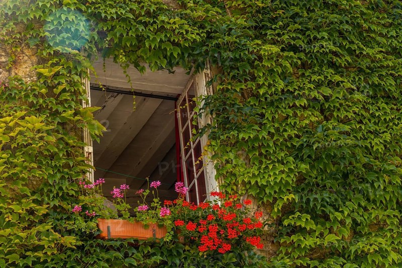 Houses full of green leaves in the medieval village of Rochefort-en-Terre