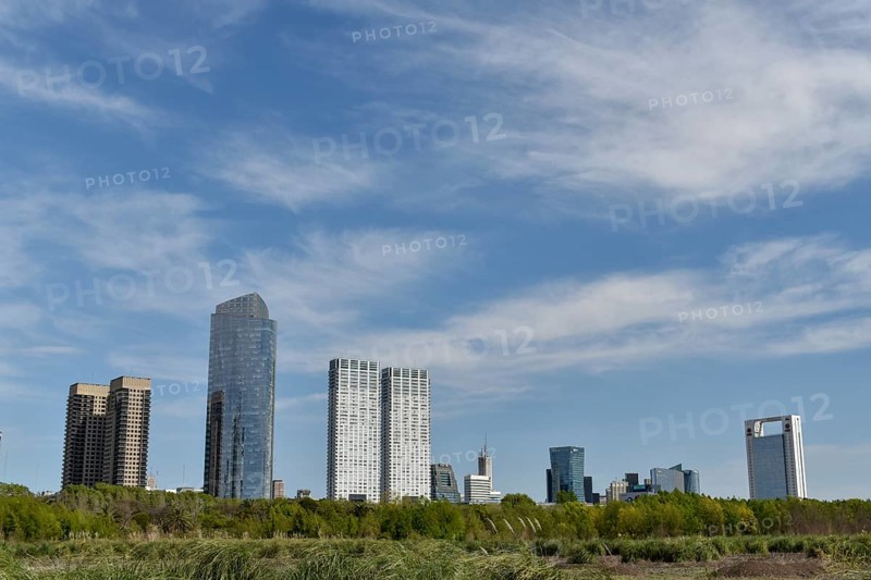 Skyline of Puerto Madero seen from Costanera Sur Nature Reserve