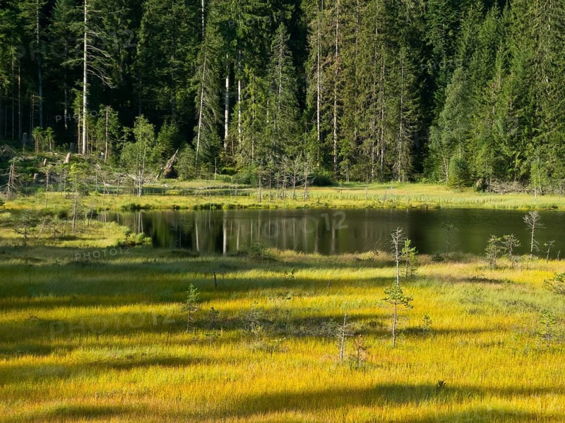 Huzenbacher See