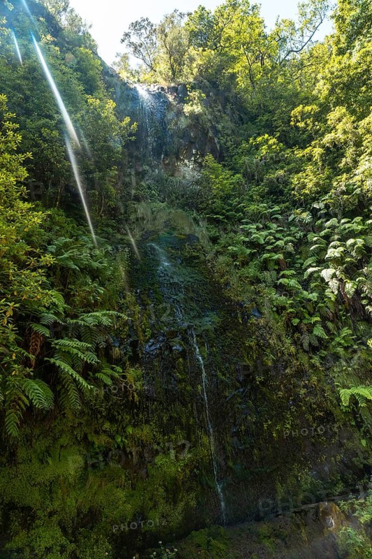 A small waterfall in summer at the Levada do Caldeirao Verde