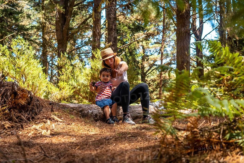 Portrait of a mother with her son sitting on a tree in nature next to pine trees