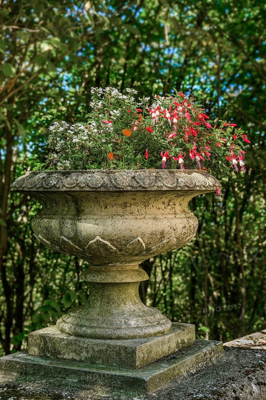 Stone bowl with fuchsias