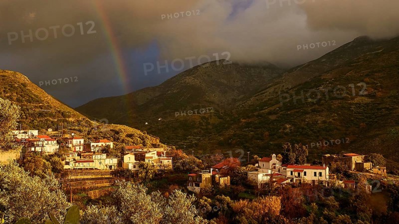 Late afternoon light