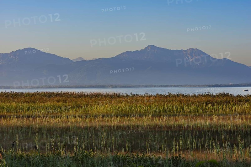 Strip of reeds