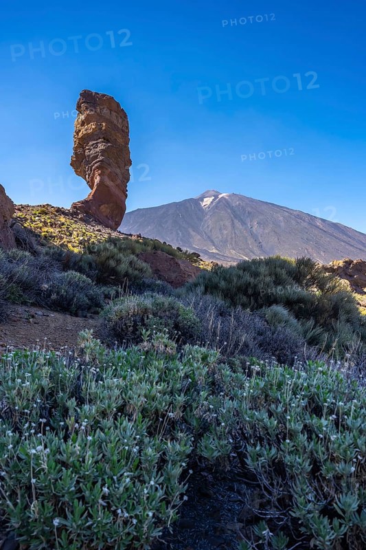 Roque Cinchado and in the background the Teide volcano in the natural area of Teide in Tenerife