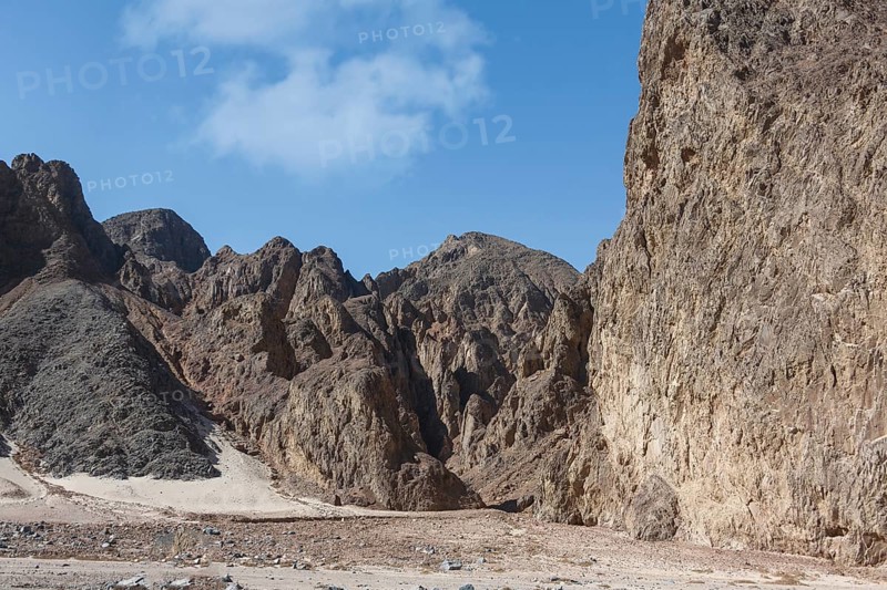 Arabian Desert