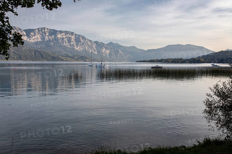 Attersee in front of Hoellengebirge