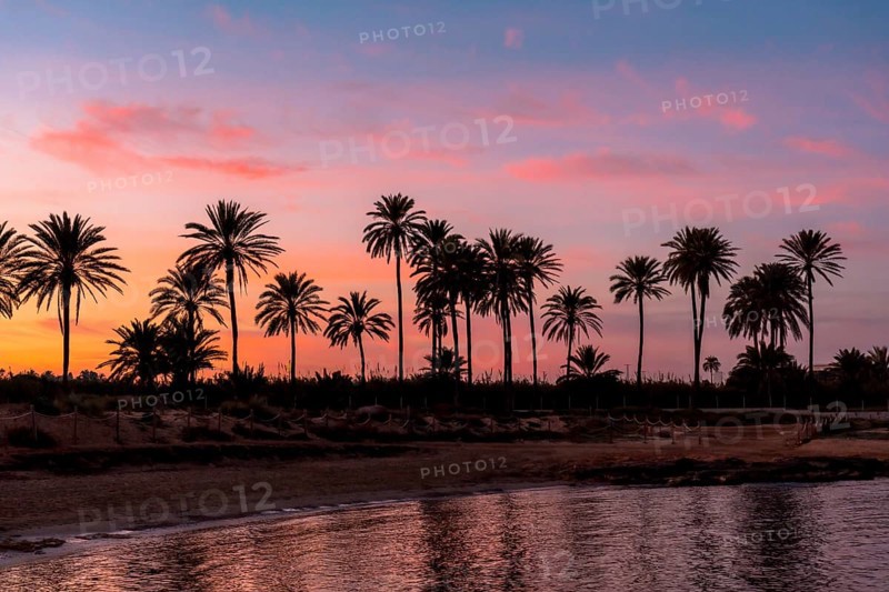 Silhouette of palm trees reflected in an orange sunset on a beach by the sea in the town of Torrevieja