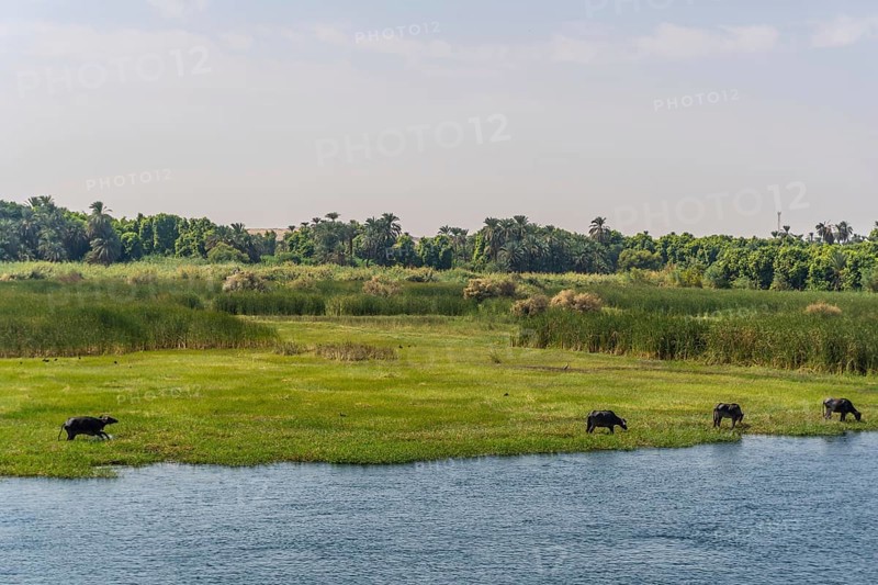 Beautiful natural scenery sailing on the Nile river cruise from Luxor to Aswer