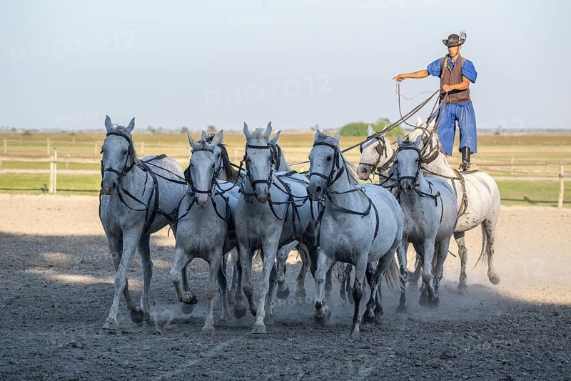 Riding demonstration