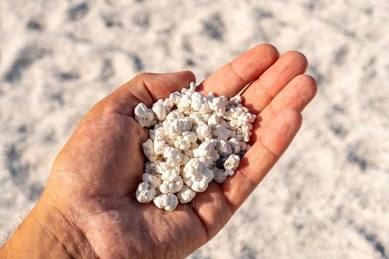 Popcorn Beach near the town of Corralejo