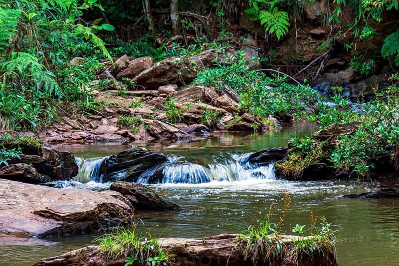 River of calm waters crossing the rainforest vegetation in Minas Gerias
