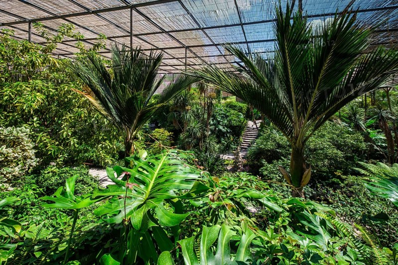 Interior view of the cold house Estufa Fria is a greenhouse with gardens