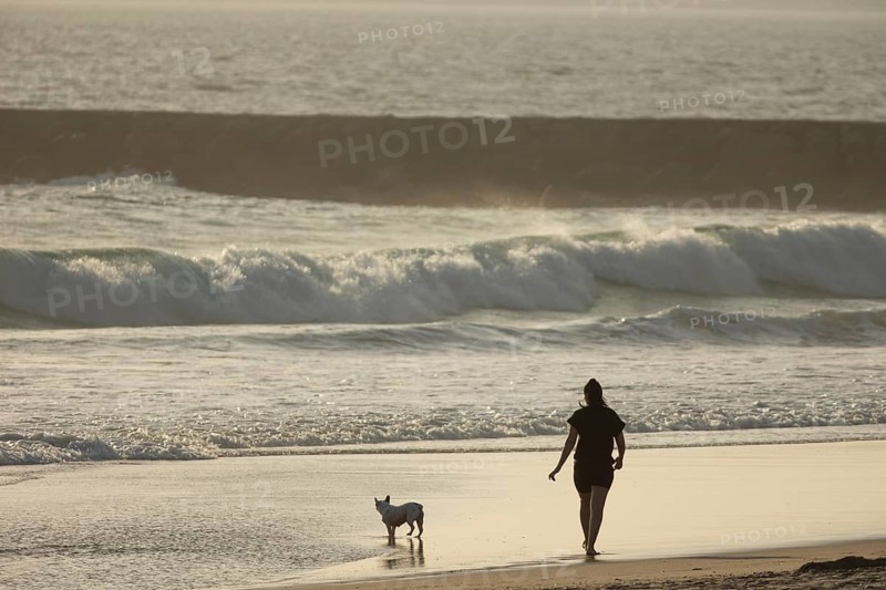 A woman walking with her little dog on the beach at sunset. Mid shot