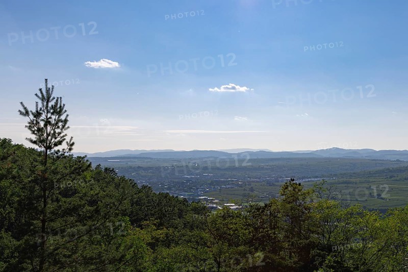 View into the Kamptal