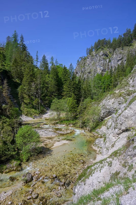 Oetscherbach in the Oetschergraben