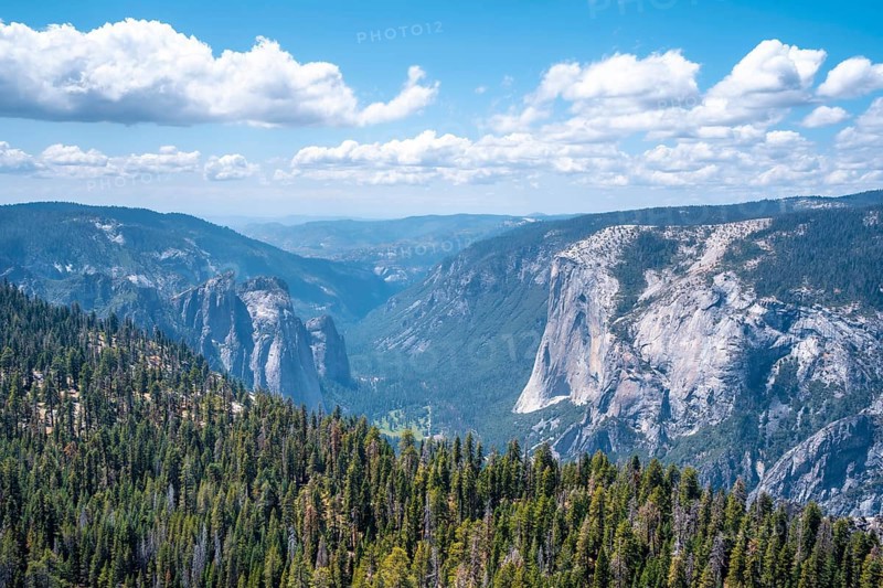 Views from Sentinel Dome