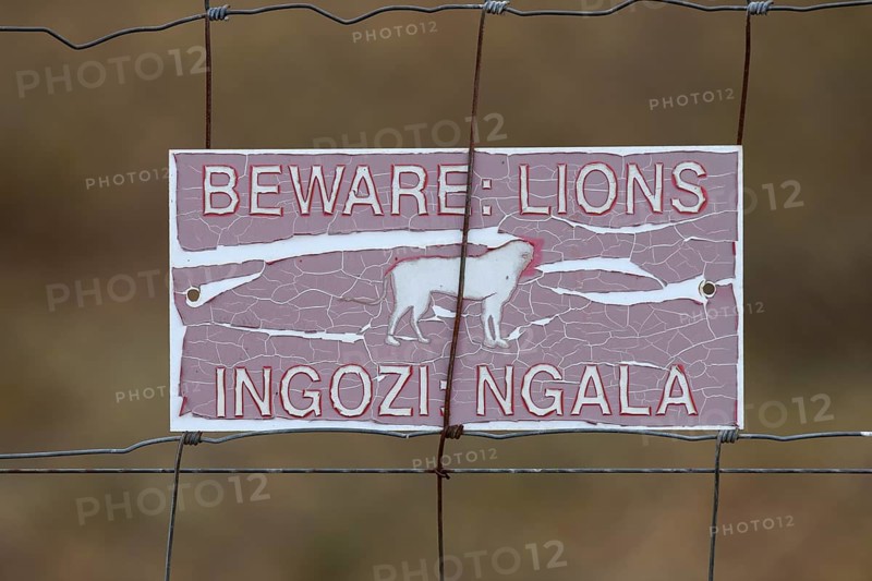 Lion attention sign on a game fence