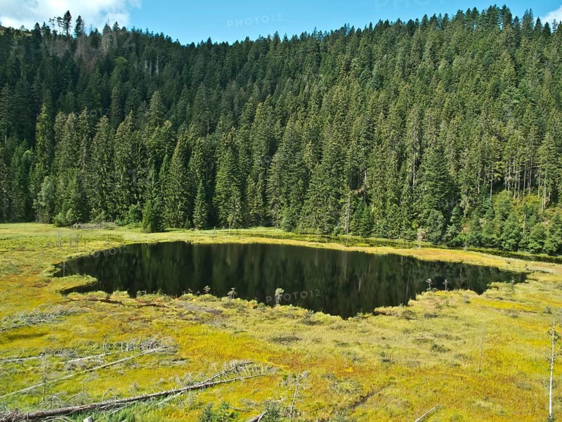 Huzenbacher See