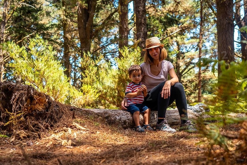 A mother with her son sitting on a tree in nature next to pine trees