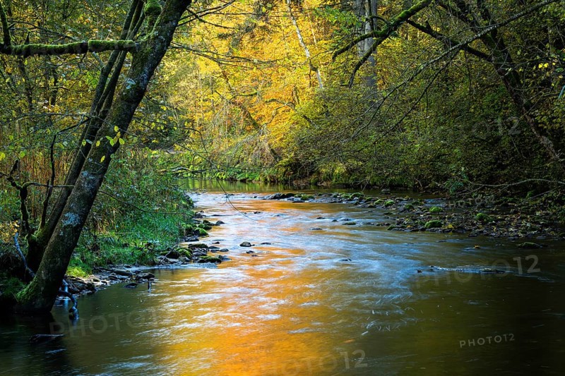 The Eistobel nature reserve