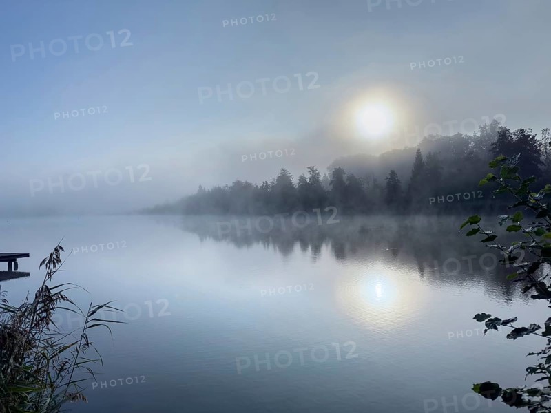 Morning fog at Harmatinger Weiher