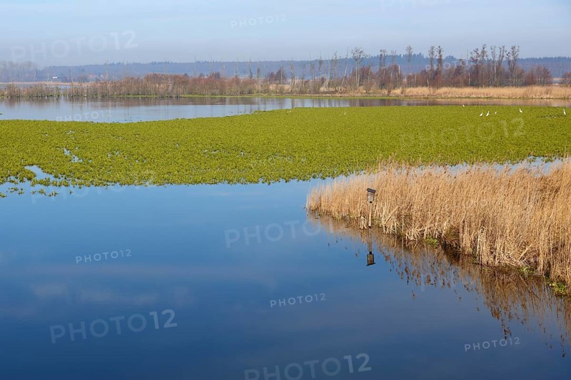 Polder