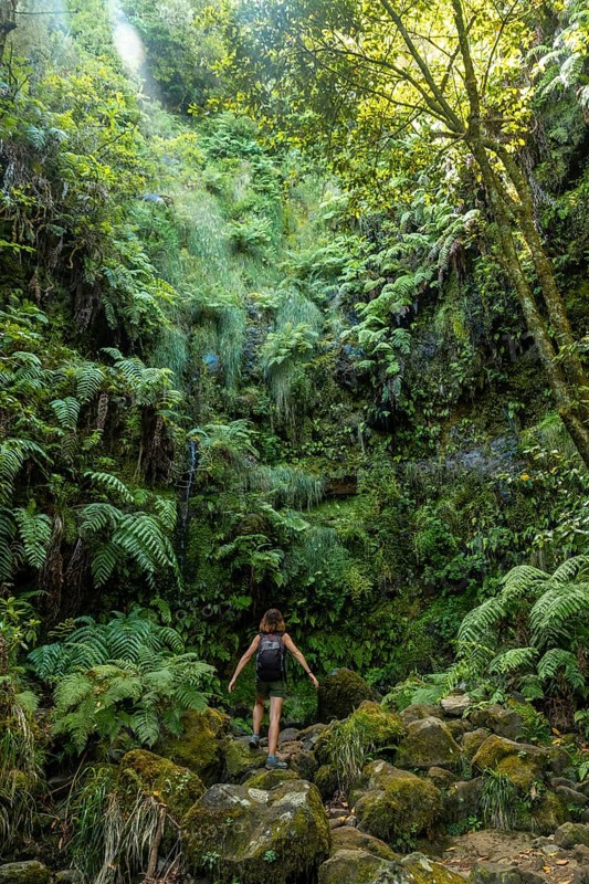A young woman in the great green vegetation of the Levada do Caldeirao Verde trail