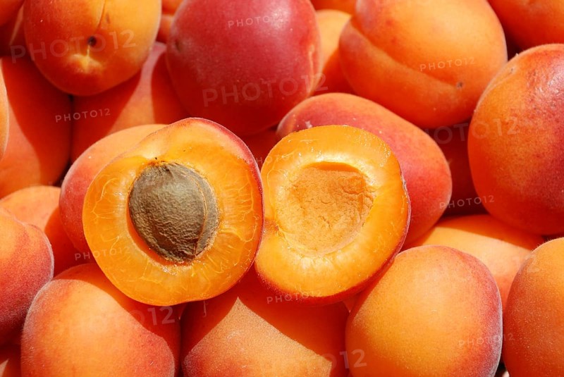 Many apricot