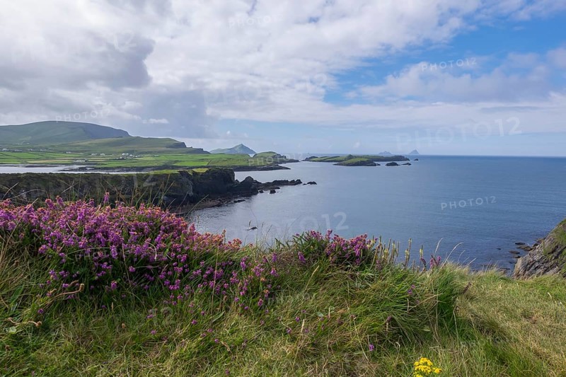 Landscape at Skellig Ring