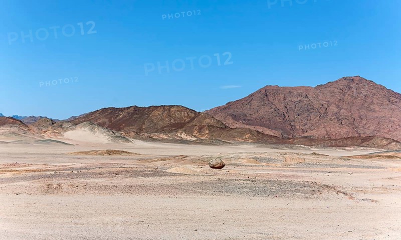 Arabian Desert