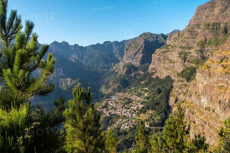 Vegetation from the Eira do Serrado viewpoint