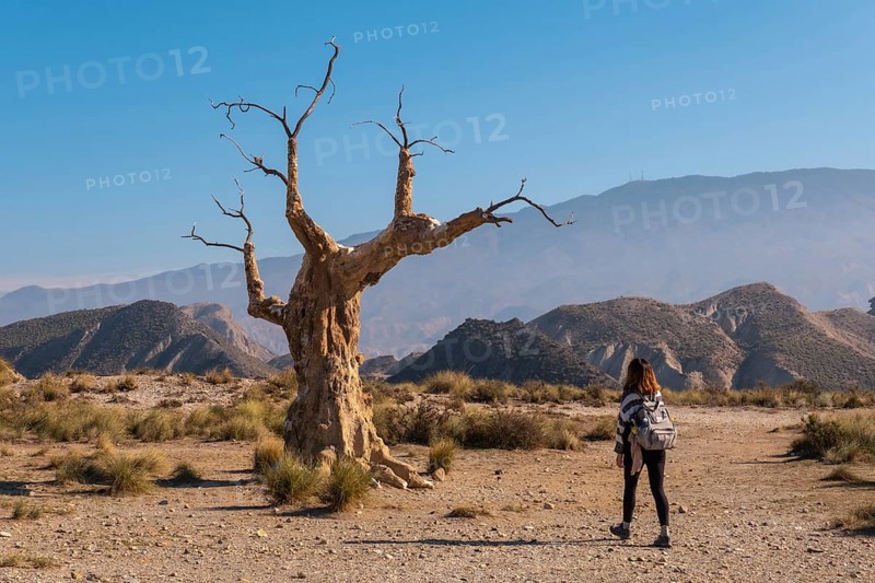 A young hiker girl visiting the tree of misfortune near the desert canyon of Tabernas