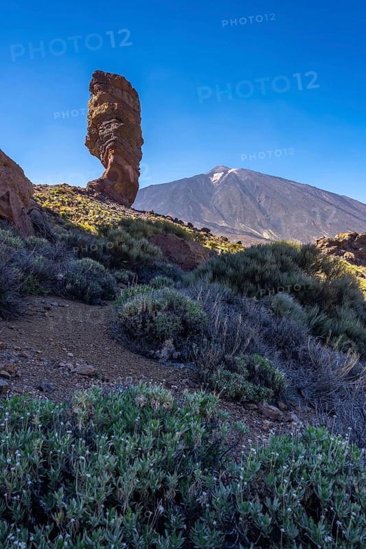 Roque Cinchado and in the background the Teide volcano in the natural area of Teide in Tenerife
