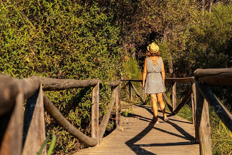 A young tourist walking along a wooden walkway in the Donana Natural Park