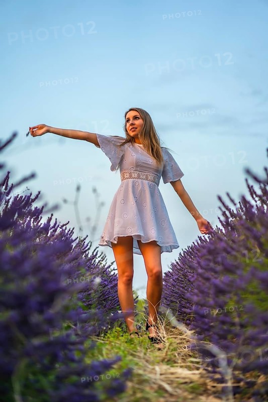 A young blonde Caucasian woman in a white dress in a cultivated lavender field in Navarra