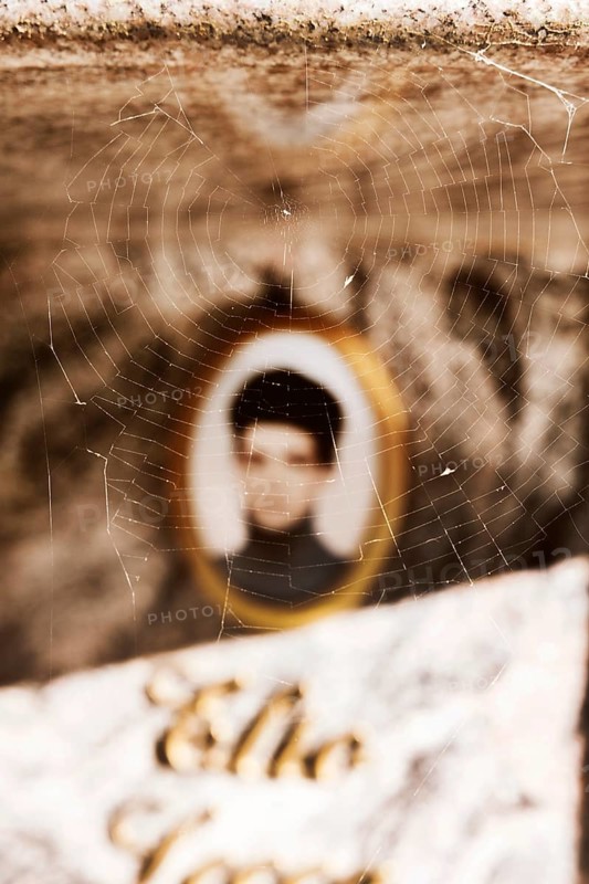 Spider's web on a tombstone in front of a blurred photo Medailion of the deceased in a cemetery