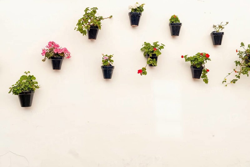 Pots with flowers in the white houses of the town of Nerja