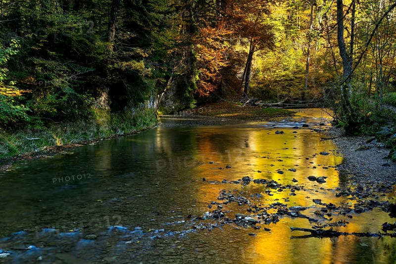 The Eistobel nature reserve