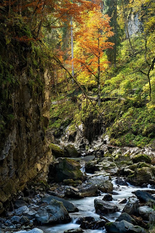 The Breitachklamm gorge