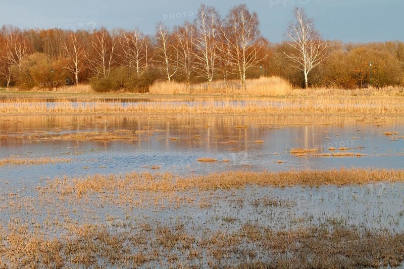 Polder