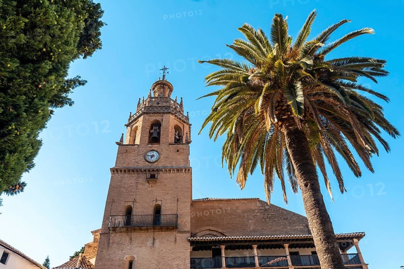 Palm trees next to the Church of Santa Maria la Mayor in the historic center of Ronda