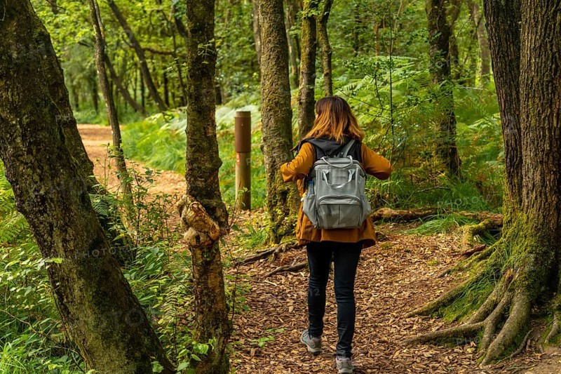 A young woman trekking on Lake Paimpont in the Broceliande forest