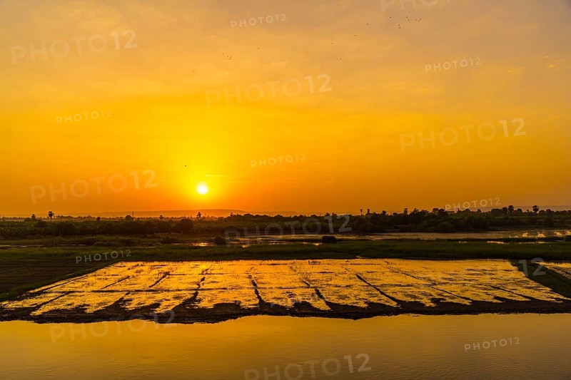 Cropland on the shore at sunset on the Nile river cruise. Egypt. Sailing from Luxor to Aswan