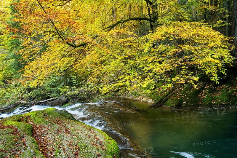The Eistobel nature reserve