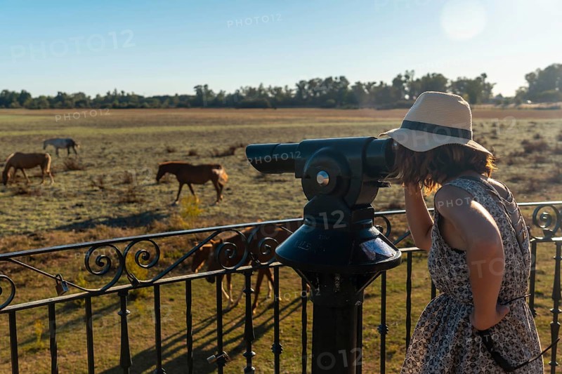 A young tourist with binoculars looking at the horses grazing in the Donana park