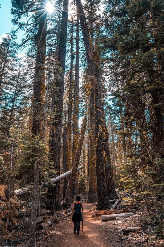 A young woman on the beautiful trail from Taft point to Sentinel Dome
