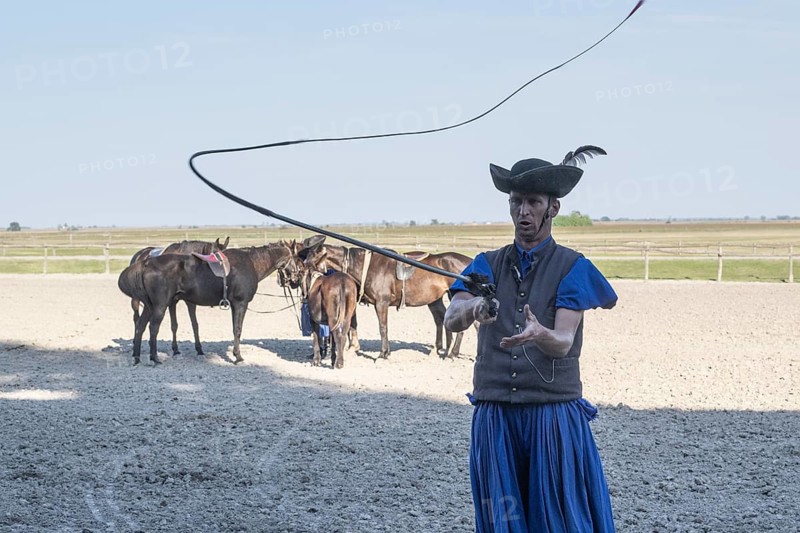 Cracking the whip with the Hungarian shepherd's whip