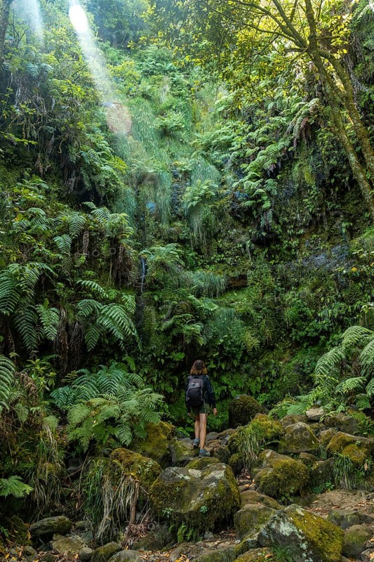 A young woman in the great green vegetation of the Levada do Caldeirao Verde trail