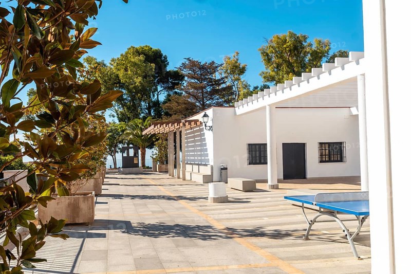 Palm tree and white buildings in the municipality of Mijas in Malaga. Andalusia
